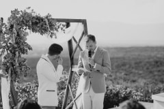 jonas and ben at their grootbos nature reserve wedding