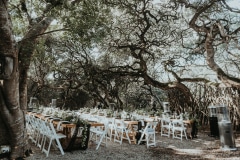 a wedding moment at grootbos nature reserve
