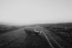 ben and jonas wed at grootbos nature reserve
