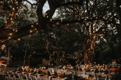 jonas and ben during their grootbos nature reserve wedding day
