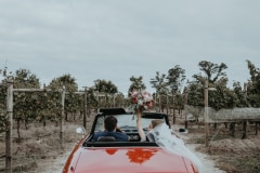 a wedding photograph of chloe and adam at newstead vineyards