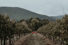 a moment from chloe and adam's south africa destination wedding