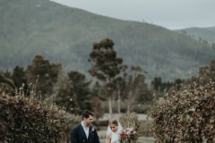 adam and chloe at their newstead vineyards south africa wedding