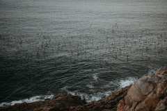 Gillian and Eddie during their Robberg engagement shoot