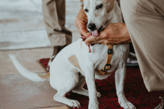 sharyn hodges photographs megan and juan at their port elizabeth wedding