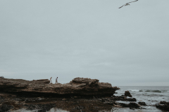 megan and juan's wedding, captured in port elizabeth