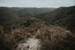 Family shoot with Sim, Johann and Sias at Natures Valley