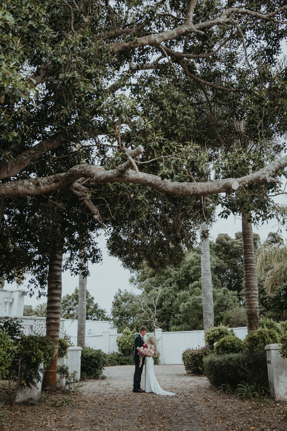 couple portrait in the vineyard landscape at bitou vineyards wedding