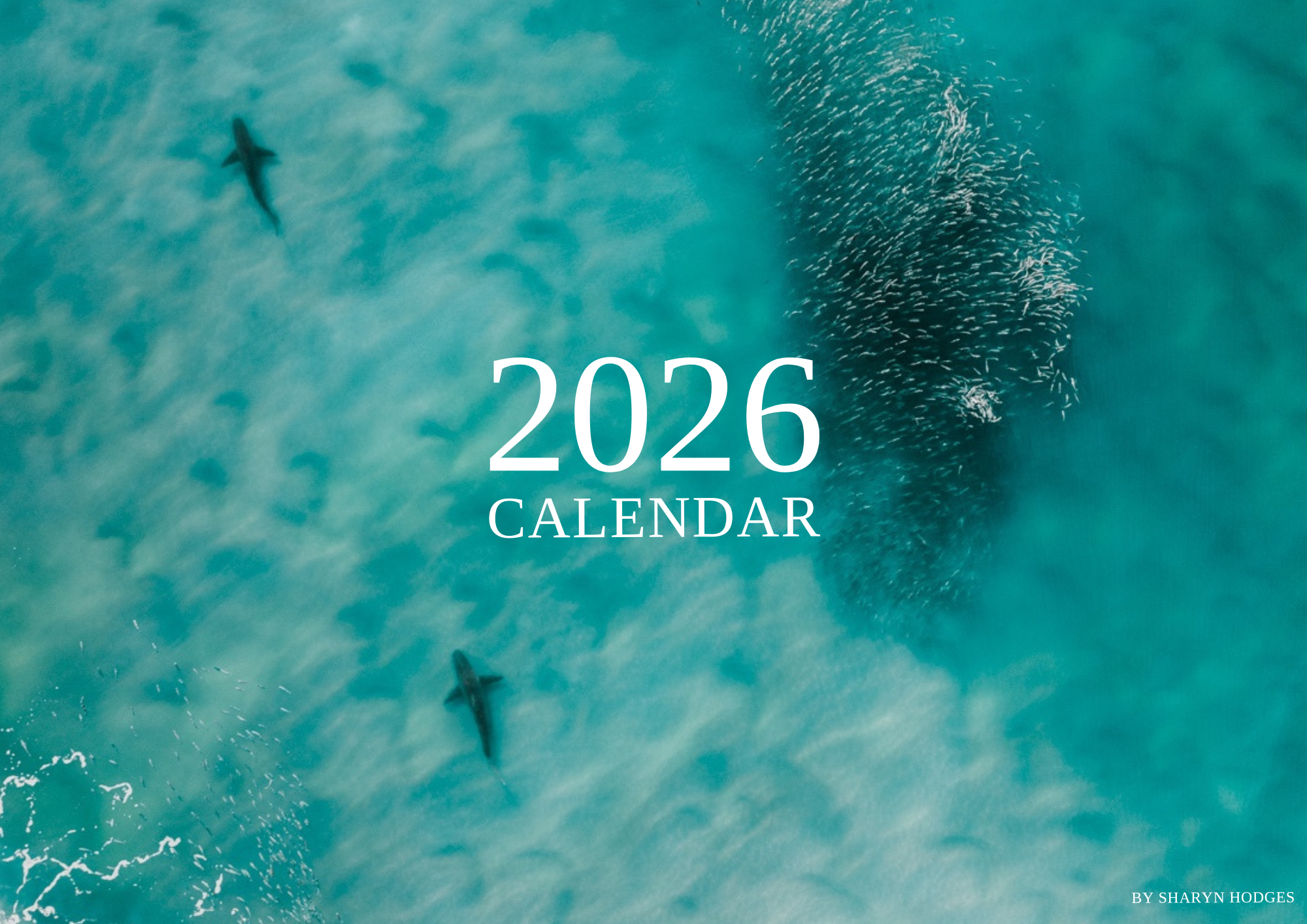 sharyn hodges 2026 marine calendar